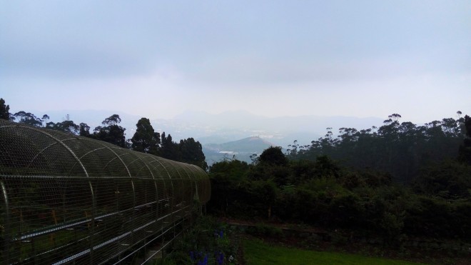 A view from Dodabetta peak