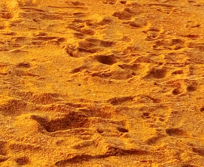 Pedestrian Sands - A snapshot of Footprints on sand